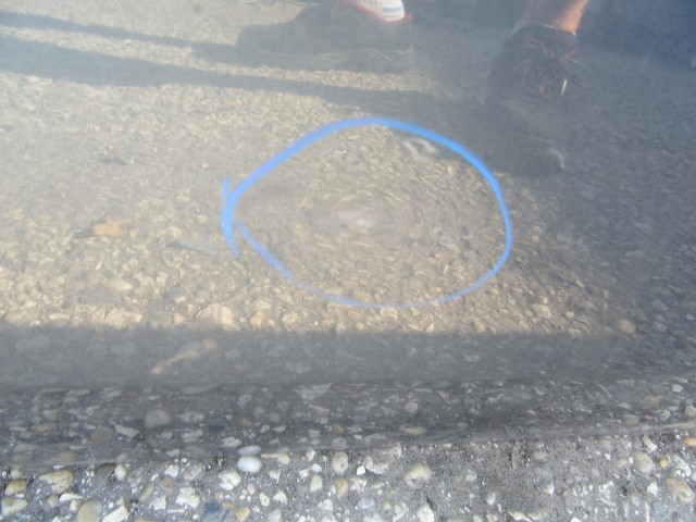 61582 Fiat Stilo 3 ajtós, kék bal ajtó 