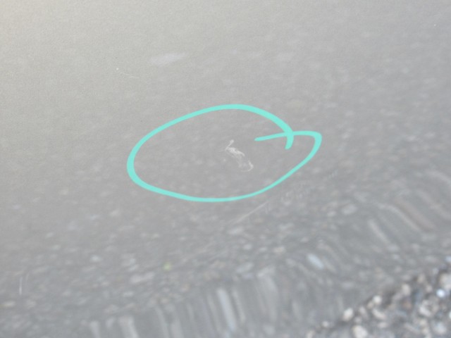 111123 Fiat Bravo 2007-2014 bal hátsó ajtó a képen látható sérüléssel 51839096