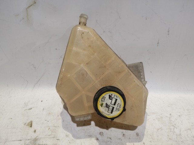 Ford Ecosport 2012-2022 Kiegyenlítő tartály Használt  