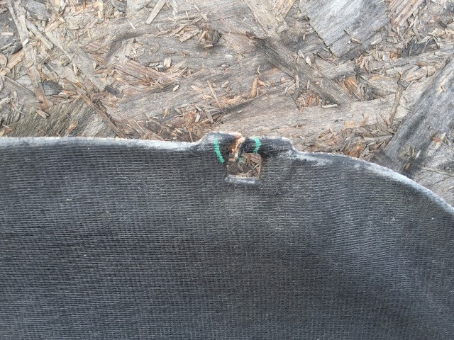 193279 Fiat Bravo 2007-2014, Lancia Delta 2008-2014 Motorháztető szigetelés, a képen látható sérüléssel