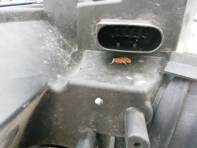 195847 Mercedes Benz B-Class W245 2005-2011 Jobb első fényszóró A1698201861