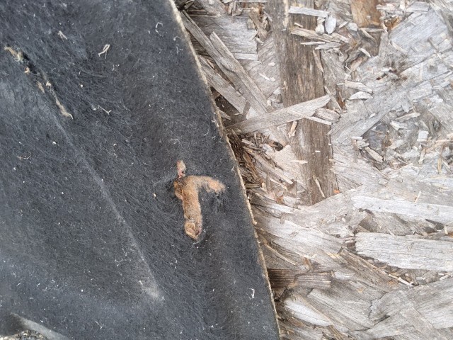 193329 Alfa Romeo Giulietta 2010-2020 Motorháztető szigetelés a képen látható sérüléssel