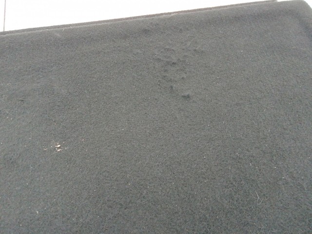 194450 Citroen C4 5 ajtós 2004-2011 Kalaptartó