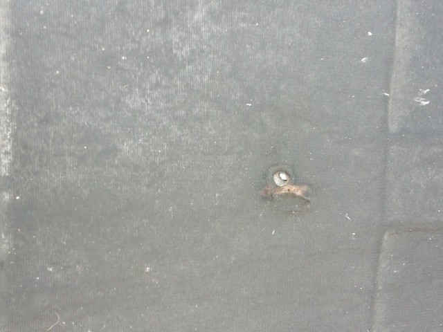 193772 Alfa Romeo 156 1997-2005 Motorháztető szigetelés 60654649