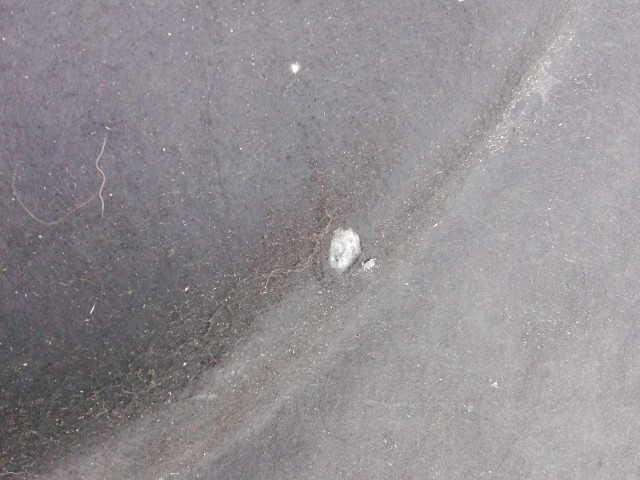 198794 Ford Focus 1998-2004 Kalaptartó 98AB-A46506AN