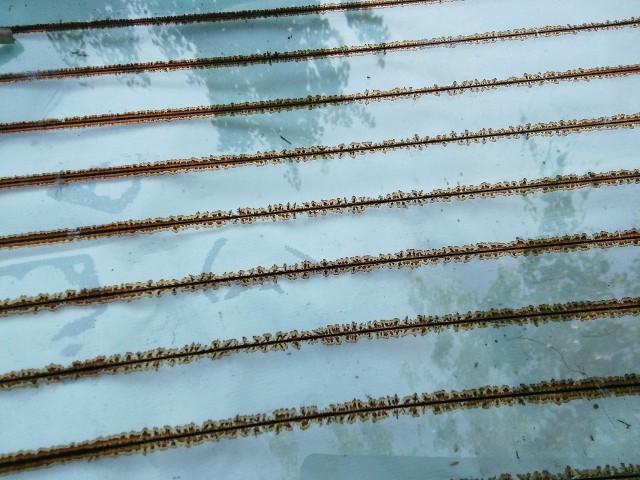 202291 DR1 2009-2014 csomagtérajtó