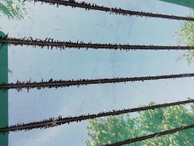 202471 Ford C-Max 2003-2010 csomagtérajtó, a képen látható sérüléssel