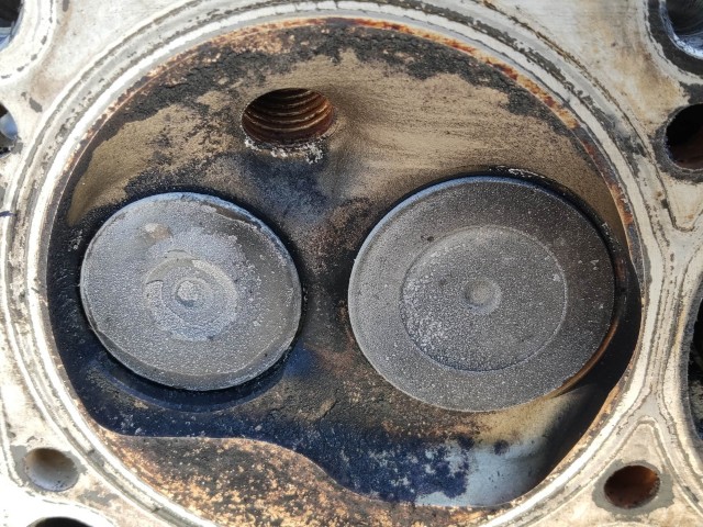 204449 Fiat Grande Punto 1,2 8v benzin hengerfej 55195018