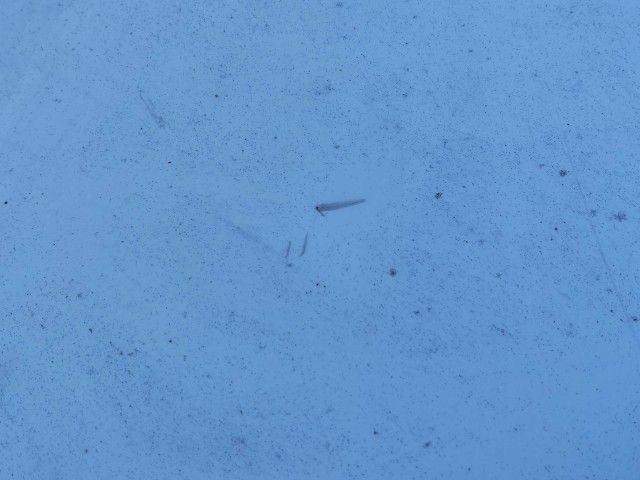 204598 Kia Rio 2011-2017 jobb hátsó sárvédő használt a képen látható sérüléssel