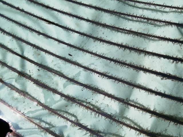 210221 Seat Ibiza 6J 2008-2017 5 ajtós csomagtérajtó