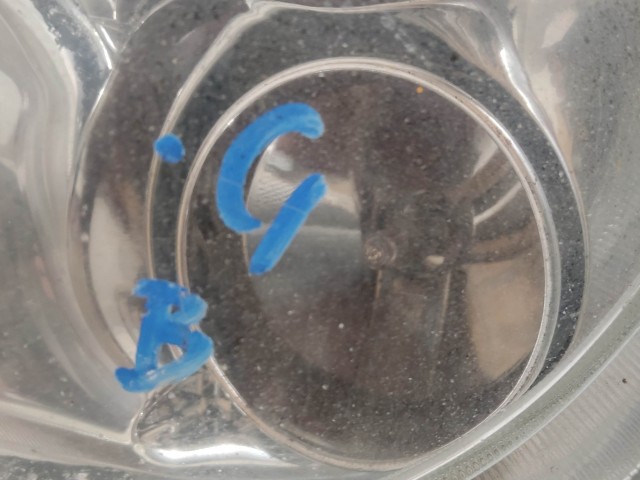 58561 Fiat Grande Punto 2005-2009 bal első ködlámpa, króm belsős 51718163